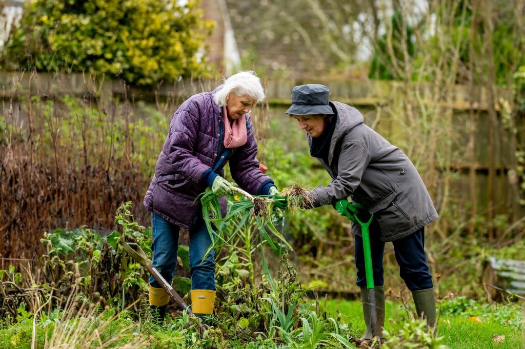 Tuin zomerklaar maken